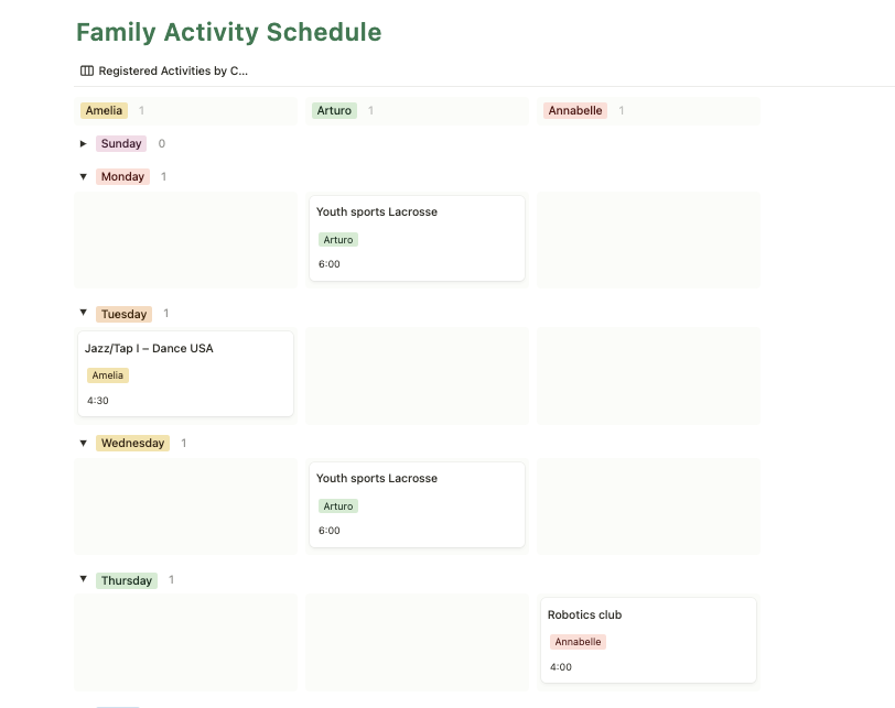 Your family extracurricular activity schedule